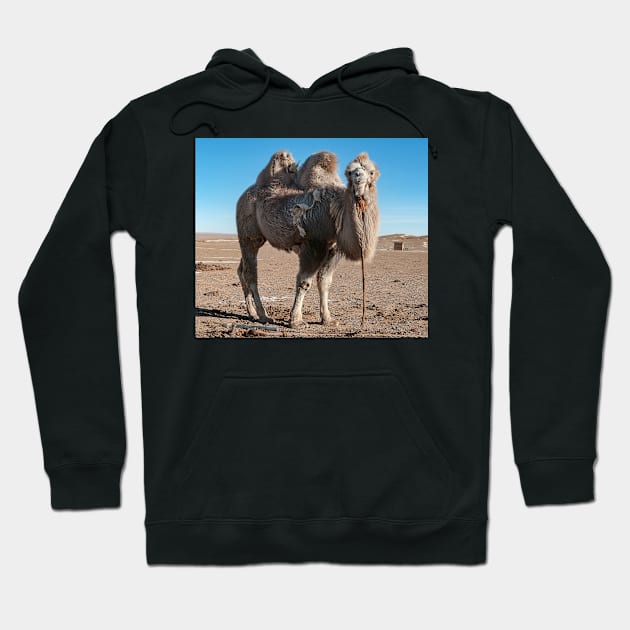 Bactrian Camel2. Hoodie by bulljup